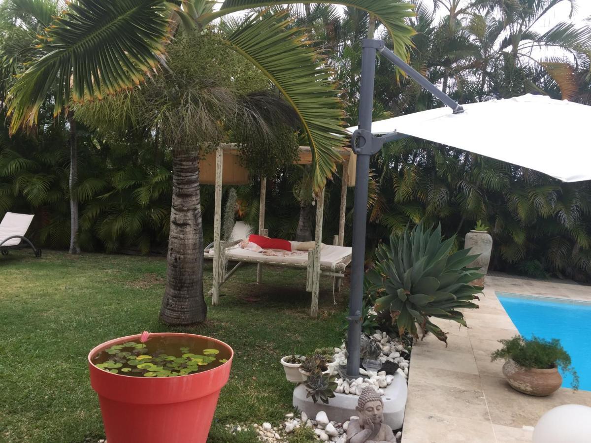La Maison Du Bonheur سانت بيير المظهر الخارجي الصورة